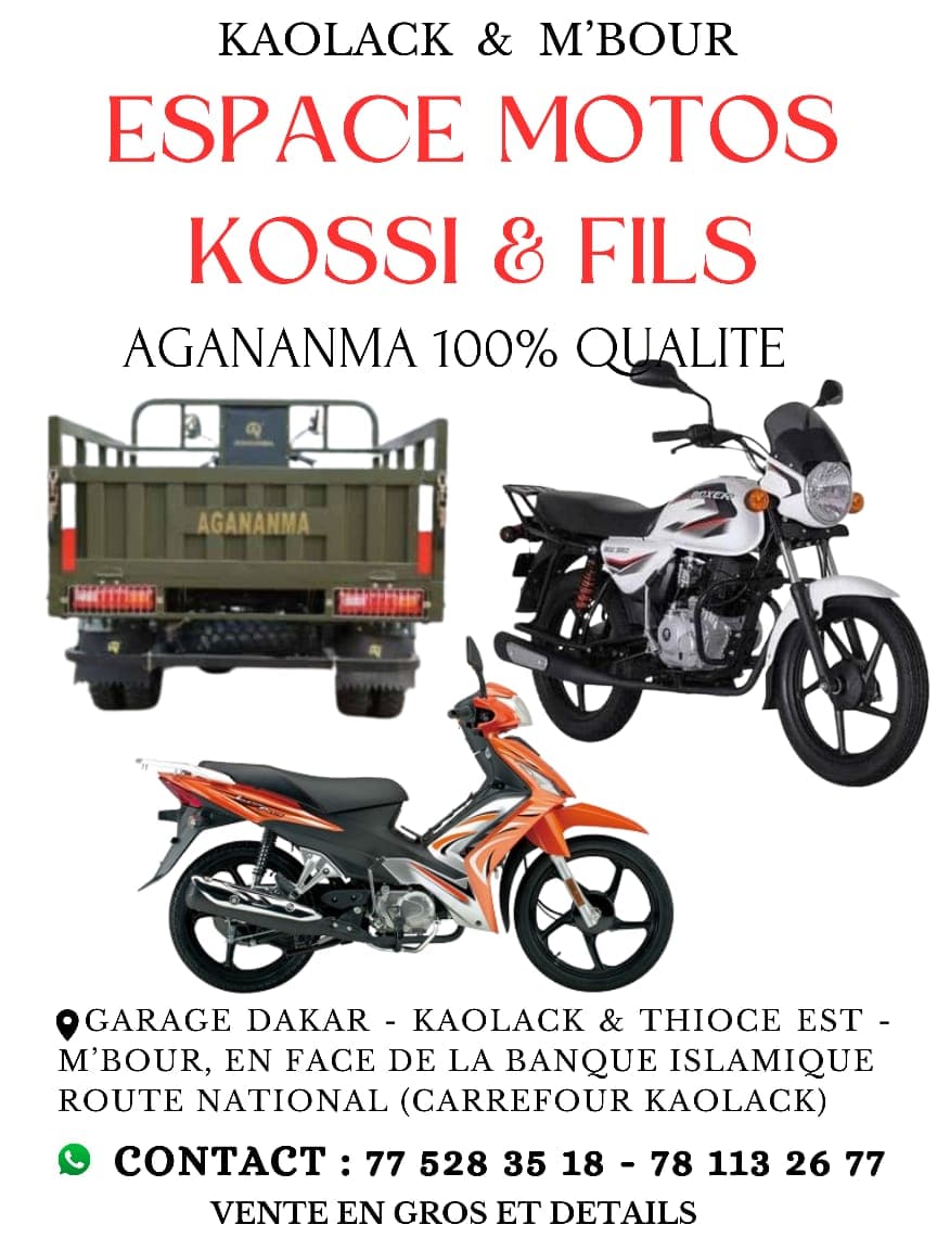 TRICYCLE BAGAGES AGANANMA 200 CC — vue détail