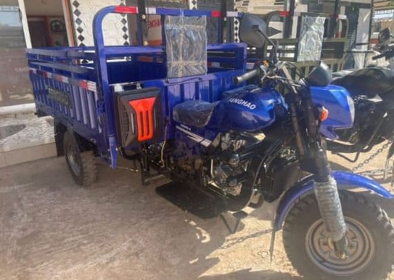 TRICYCLE AGANANMA 150 CC — vue détail